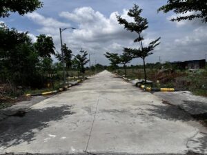 HMDA-approved villa plots in Shamirpet with blacktop roads and tree-lined pathways