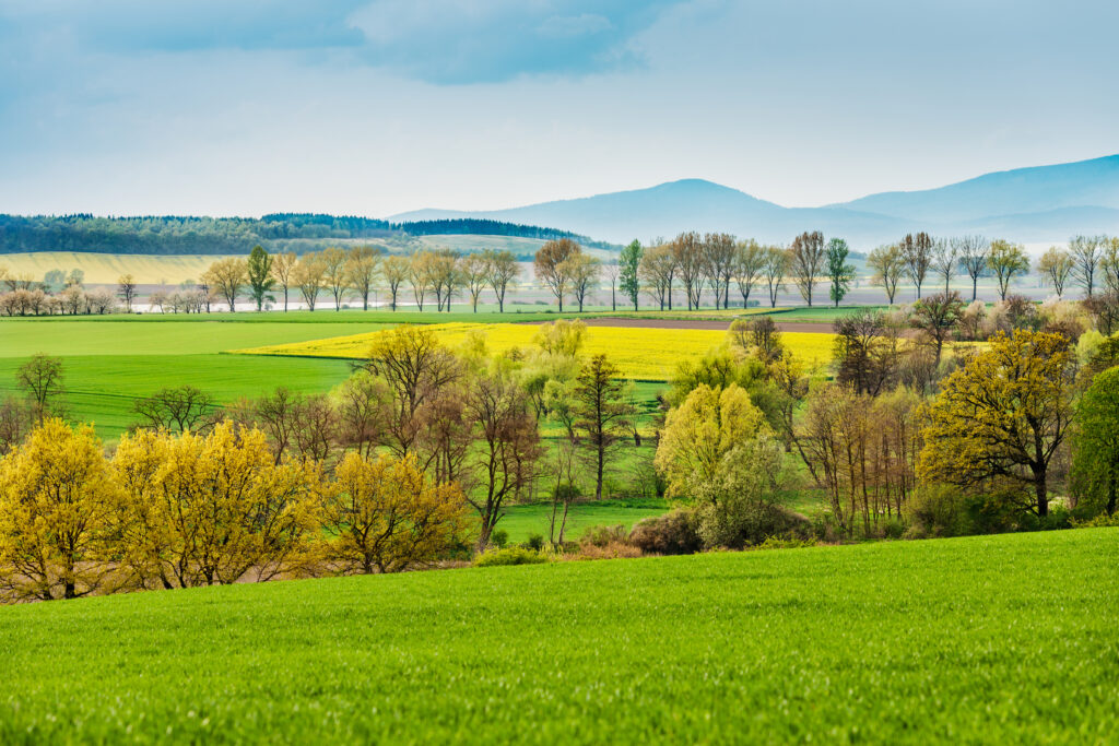 Farmland for sale in Moinabad located close to Shamshabad and Appa Junction.